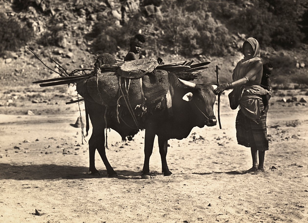 „Birodalom építése” a fasiszta korban: nomád, 1936.09.05. (f/w fotó) alkotó: Modestino Baldinetti