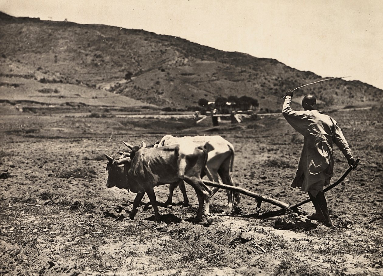 „Birodalom építése” a fasiszta korban: szántás az altopianón, 1936.05.09. (f/w fotó) alkotó: Modestino Baldinetti
