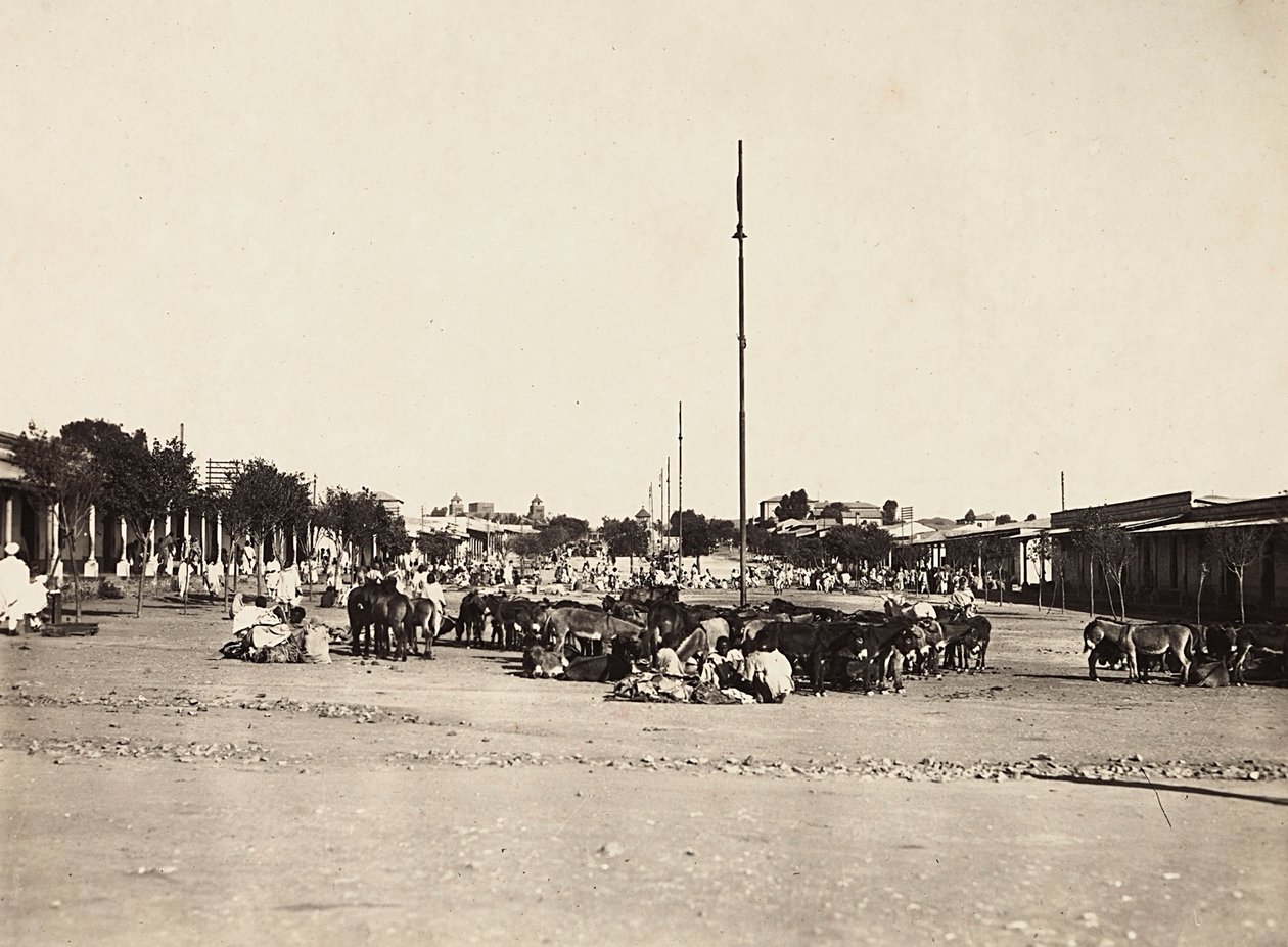 „Birodalom építése” a fasiszta korban: Asmara ősi piactere, 1936.09.05. (f/w fotó) alkotó: Modestino Baldinetti
