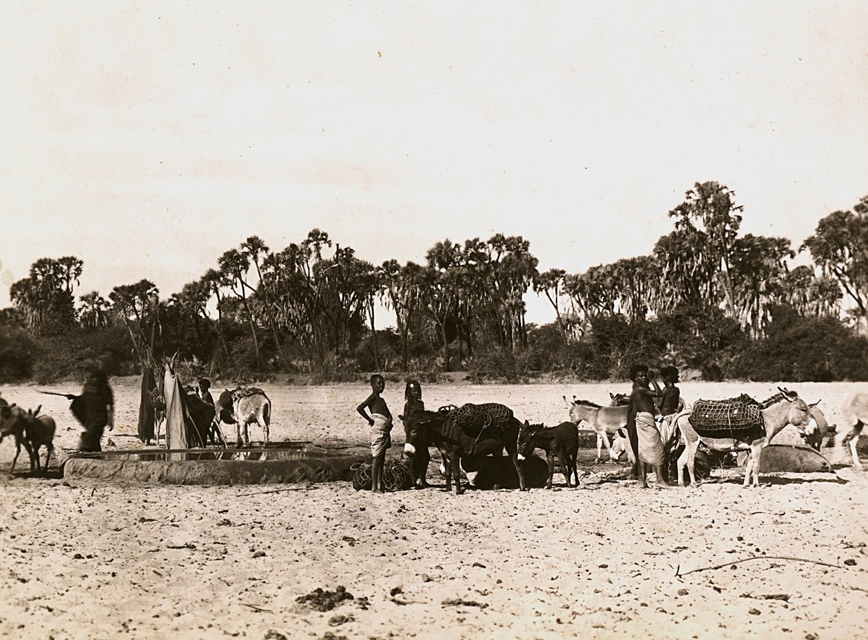 „Birodalom építése” a fasiszta korban: kutak Gascban, 1936.09.05. (f/w fotó) alkotó: Modestino Baldinetti