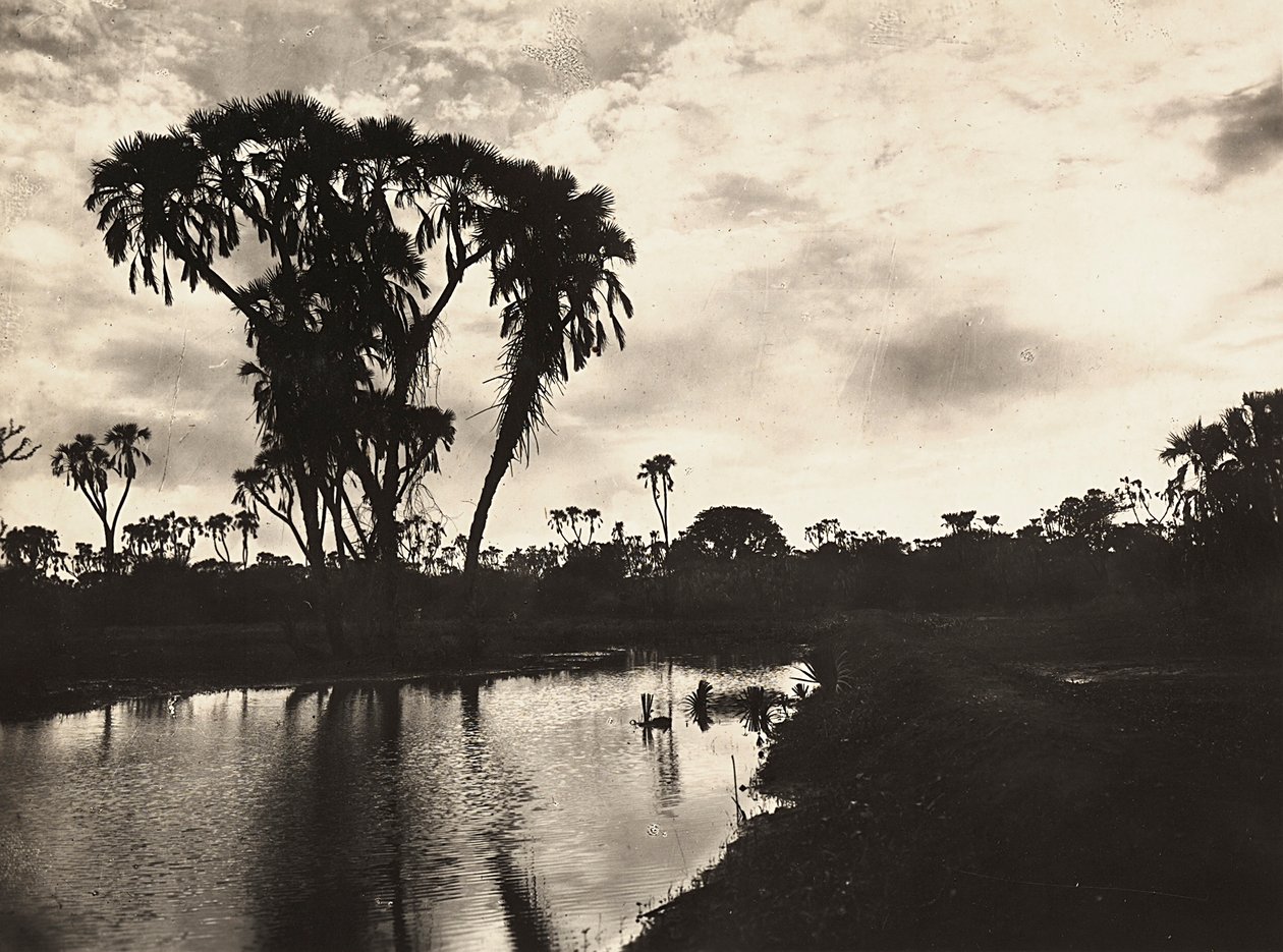 „Birodalom építése” a fasiszta korban: nyugati alsó-síkság, 1936.09.05. (f/w fotó) alkotó: Modestino Baldinetti
