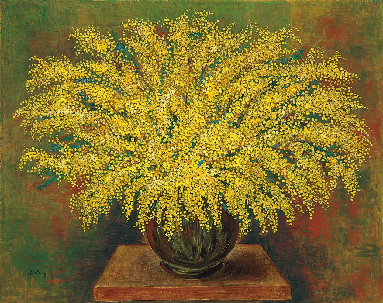 Mimózák alkotó: Moise Kisling