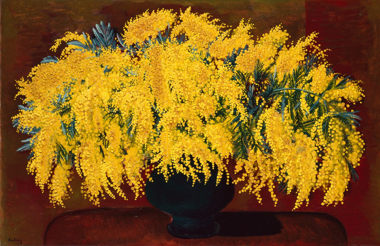 Mimózák alkotó: Moise Kisling