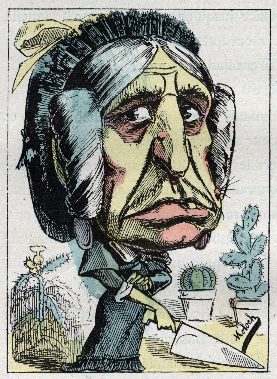 A „” mostohaanya „” (Belle mere) allegóriája Touchatout „” Le Trombinoscope”-ban, B. Moloch 1882-es karikatúrája (1849-1909). Magángyűjtemény. alkotó: Moloch