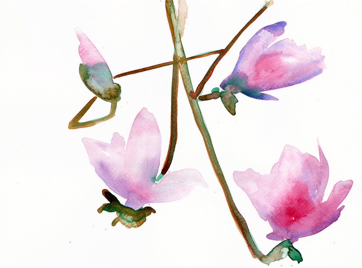 Magnolia 1, 2022 (akvarell, Langton, 300 g/m2, hidegen sajtolt papír) alkotó: Monica Perez Vega