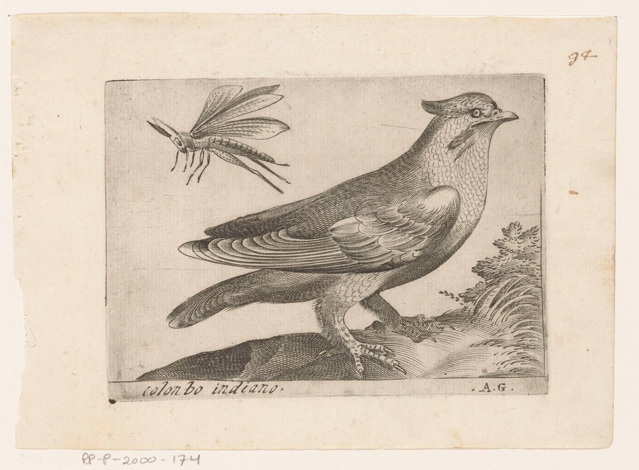 Pestvogel (Bombycilla garrulus) Colonbo indiano (cím a tárgyon) Vogels (sorozat címe) alkotó: Monogrammist AG