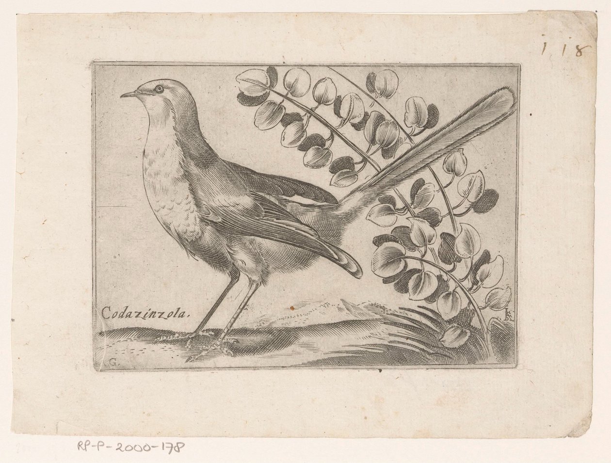 Vogel Codazinzola (cím a tárgyon) Vogels (sorozat címe) alkotó: Monogrammist AG