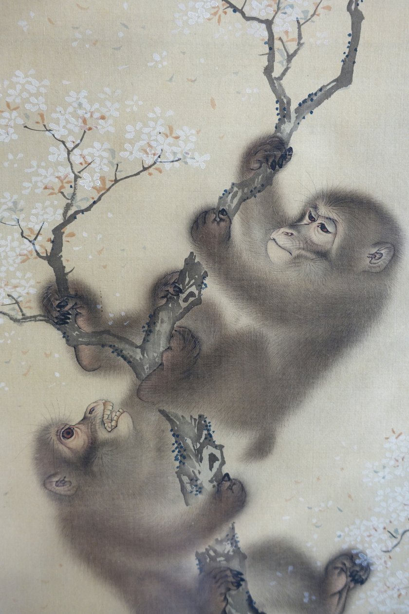 Majmok egy virágzó cseresznyefán, 1 a 2-ből, Mori Sosen, Japán, Edo-korszak, 1800-as évek eleje, tinta és szín, selyem - Arthur M. Sackler Museum, Harvard University - DSC01127 alkotó: Mori Sosen