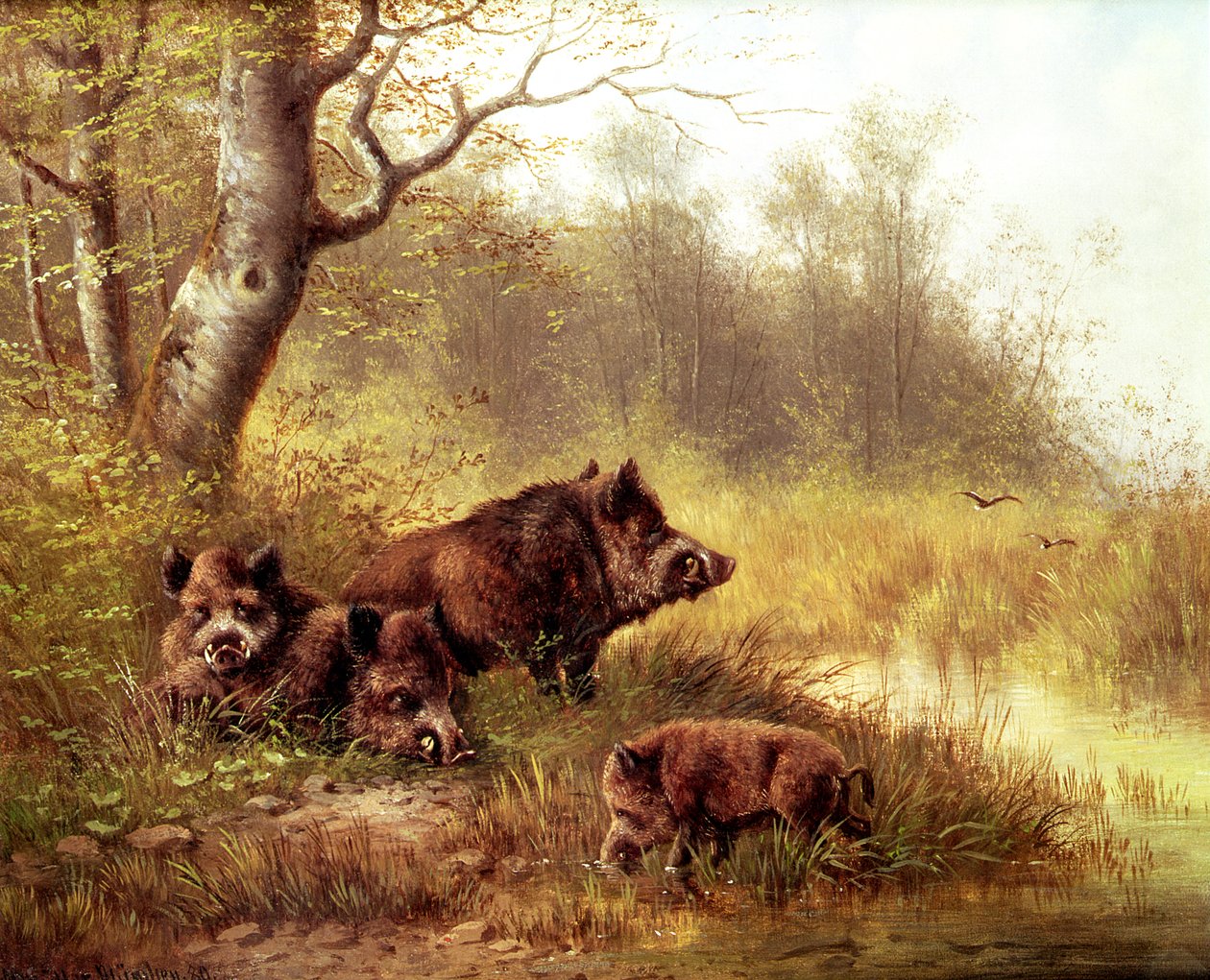Vaddisznó a Fekete-erdőben, 1880 alkotó: Moritz Muller