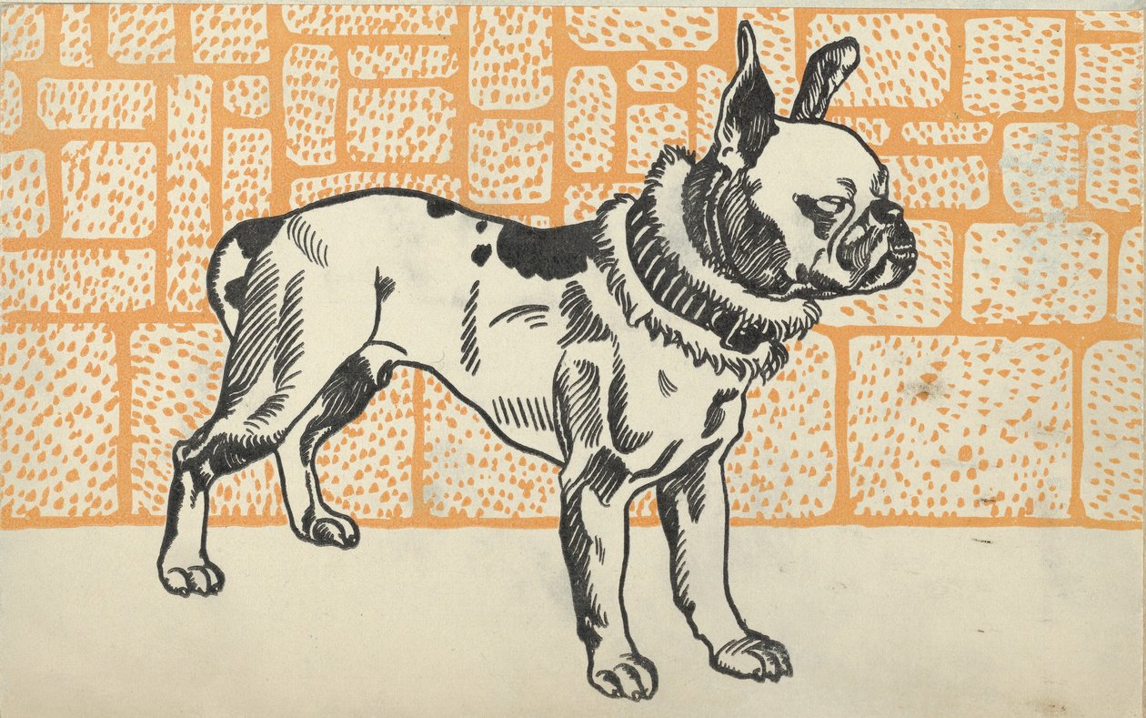 Pitbull terrier, 1912. alkotó: Moritz Jung