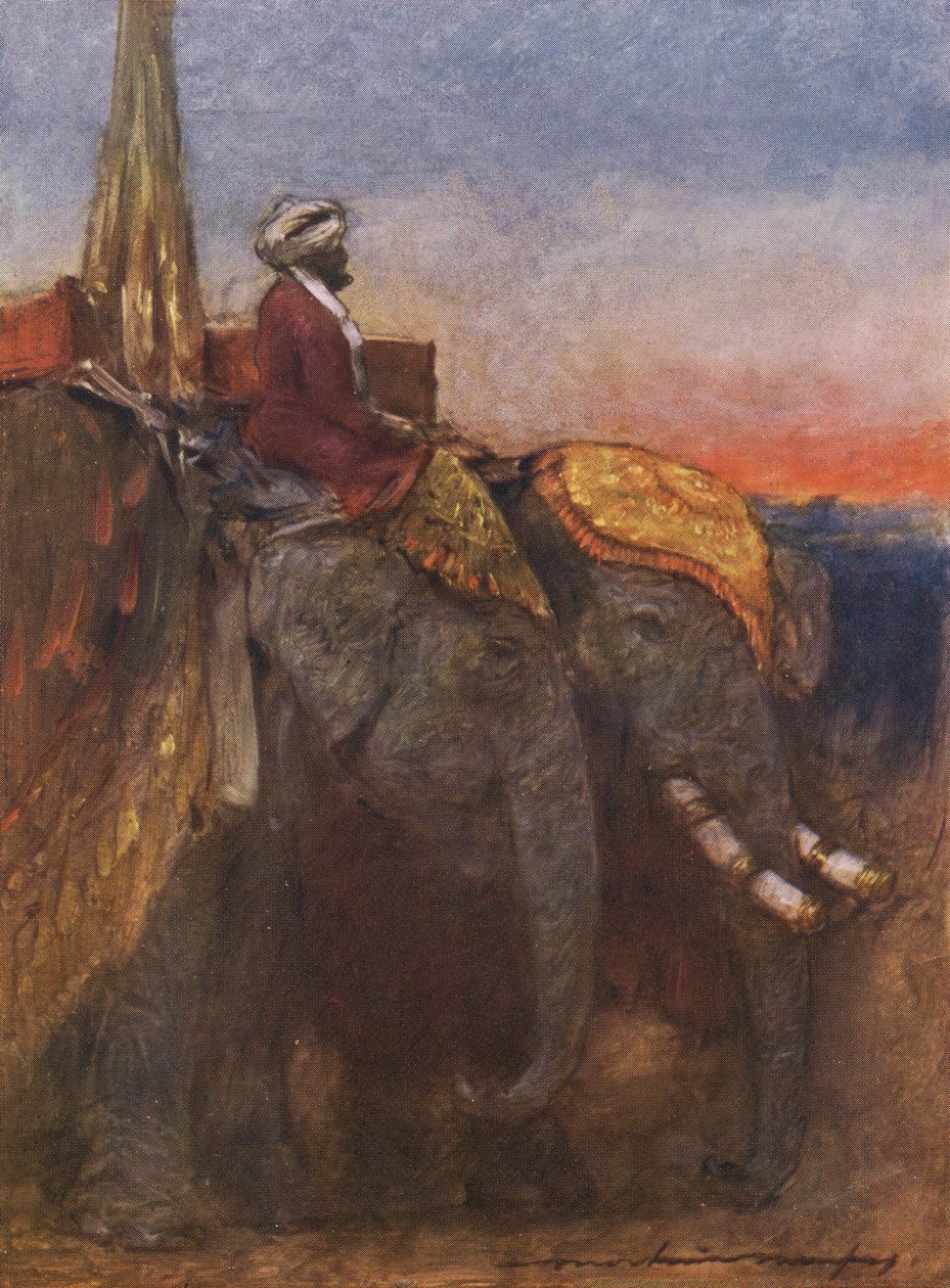 Jaipur elefántok alkotó: Mortimer Ludington Menpes