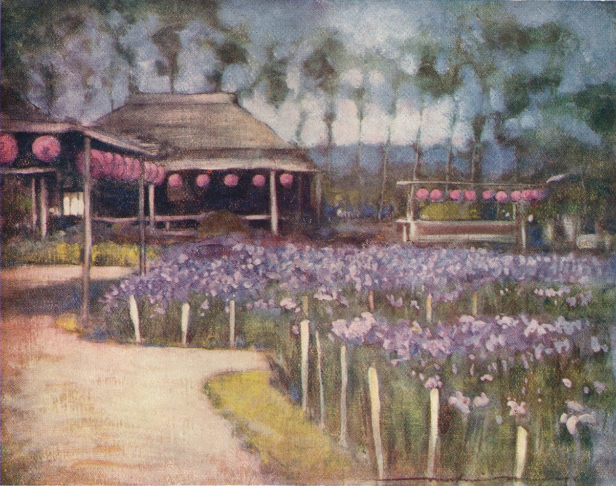 „Iris Garden”, 1887, 1901 alkotó: Mortimer L Menpes