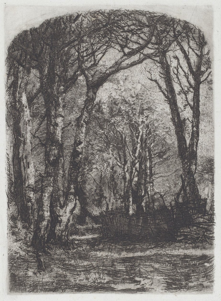 Woods [Bosco] alkotó: Mose Bianchi