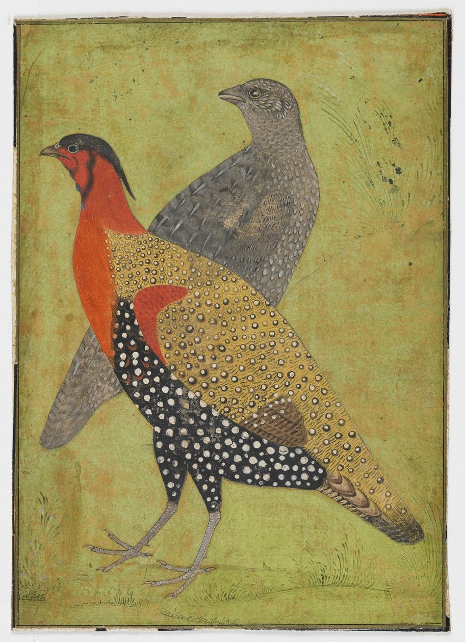 Két fácán, Festmény, 17. század eleje alkotó: Mughal School
