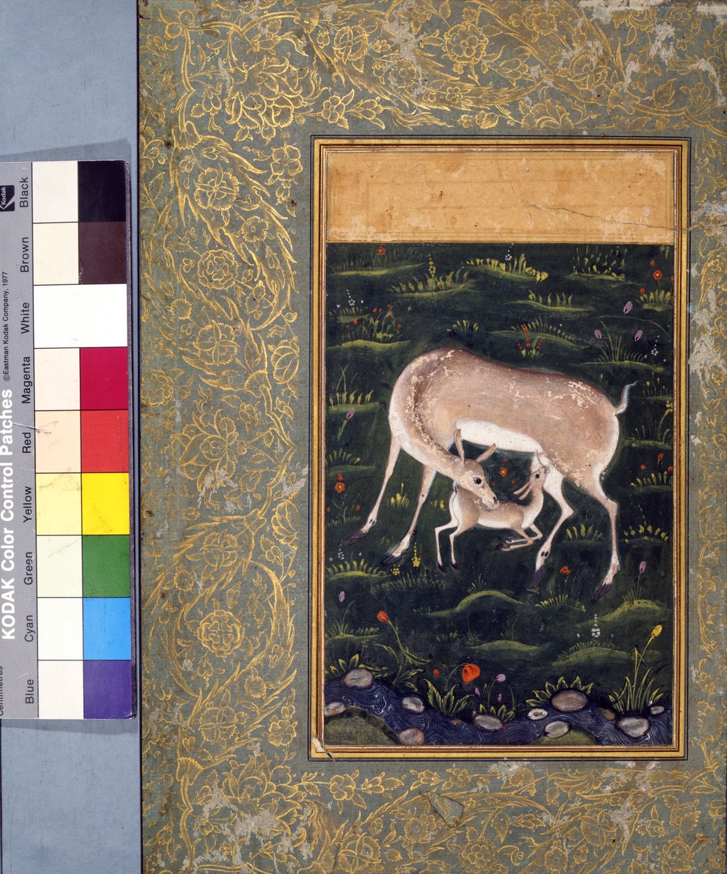 Egy őzike szoptatja őzikét, 1560 körül (átlátszatlan akvarell és arany papíron) [lásd még: 6040456] alkotó: Mughal School
