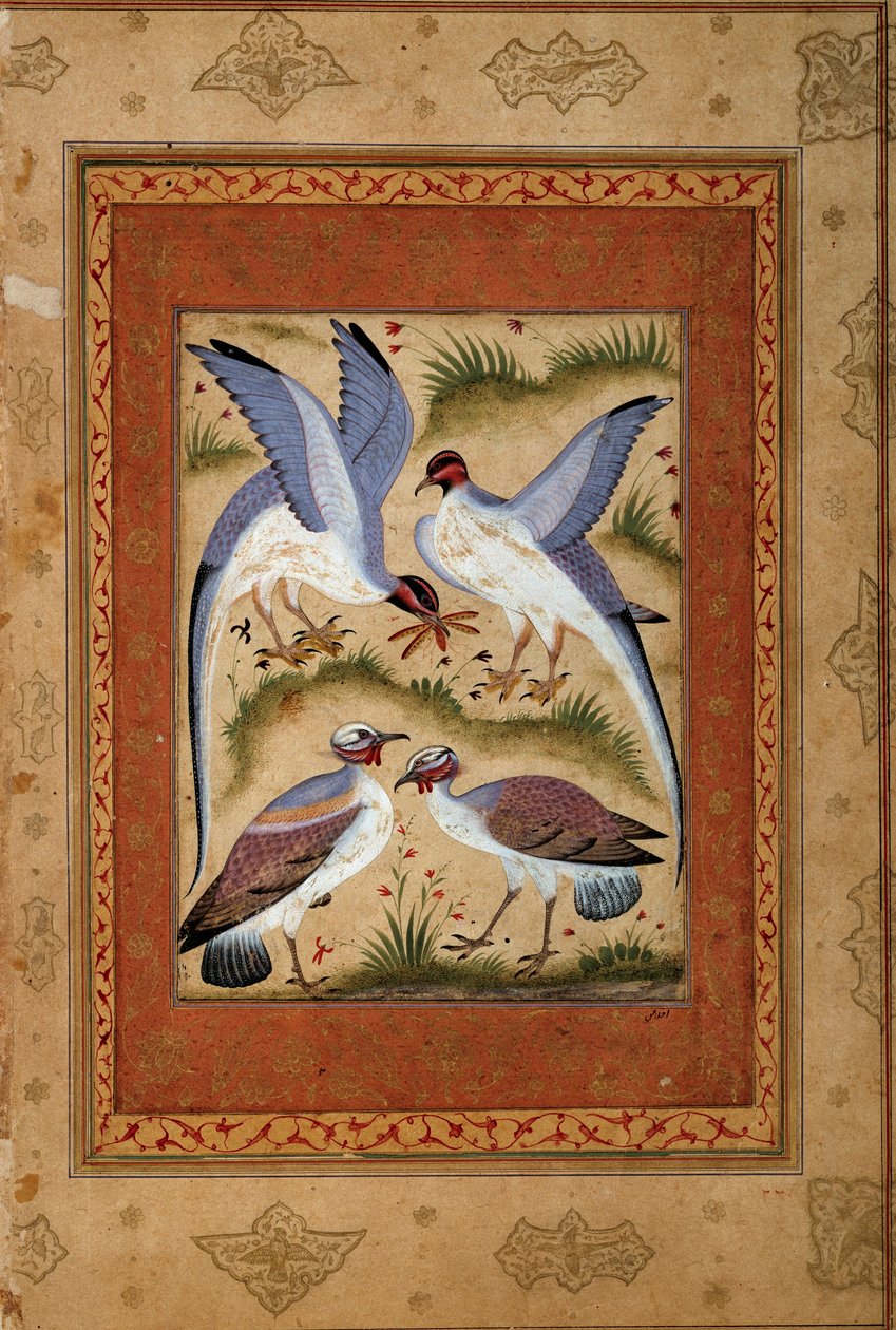 Madarak. Miniatűr gouache a moghole iskolából. 1590-1600. Párizs, Guimet Múzeum, Ázsiai Művészeti Nemzeti Múzeum alkotó: Mughal School