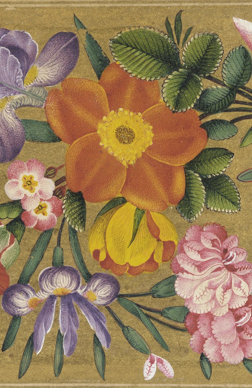 Oldal a Szentpétervári Albumból, India, 1727 (szín arany alapon) alkotó: Muhammad Sadiq