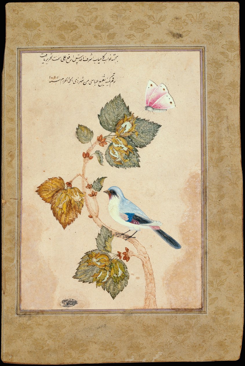 Madár mogyoróágon alkotó: Muhammad Shafi Abbasi