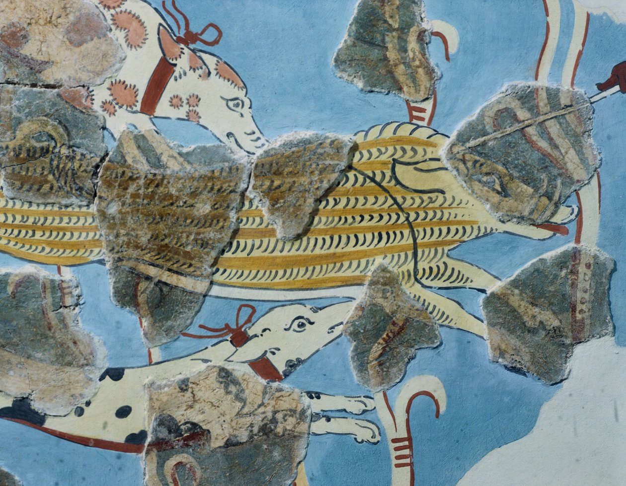 Freskó a Tirinto palotából (Görögország). Részlet: vaddisznóra támadó kutyacsoport. Mükénei civilizáció alkotó: Mycenean