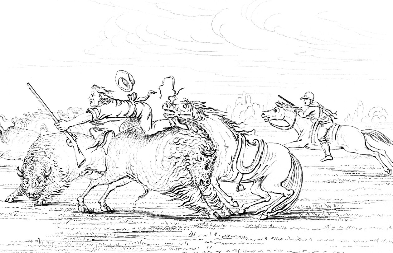 Buffalo megtámad egy lovon ülő cowboyt, 1841. alkotó: Myers and Co