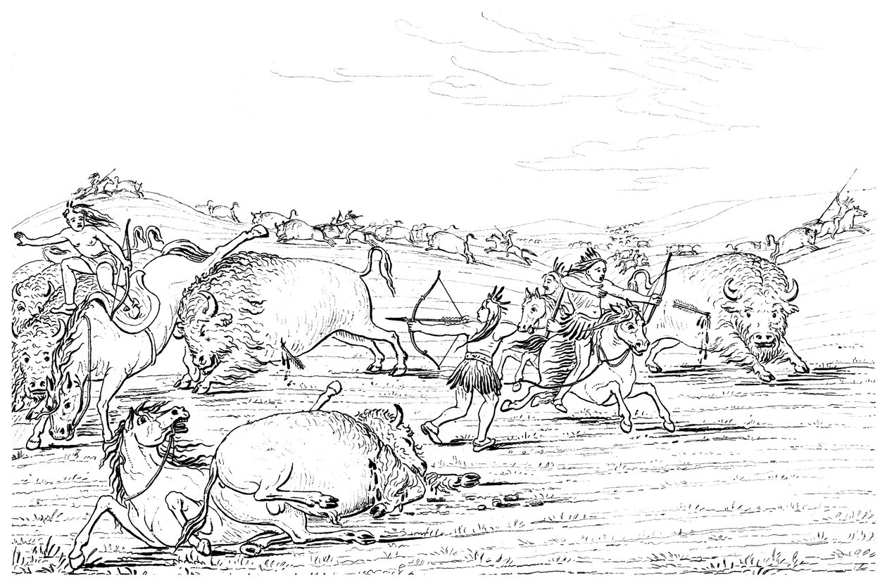 Bivalyra vadászó indiánok, 1841. alkotó: Myers and Co