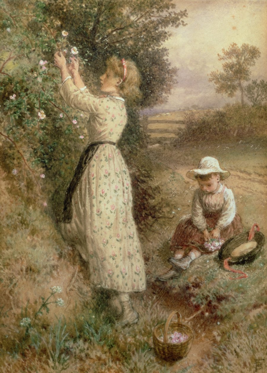 Vadrózsák alkotó: Myles Birket Foster