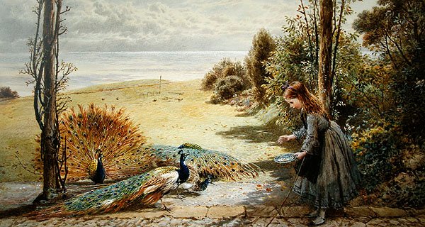 Pávák (akvarell papíron) alkotó: Myles Birket Foster