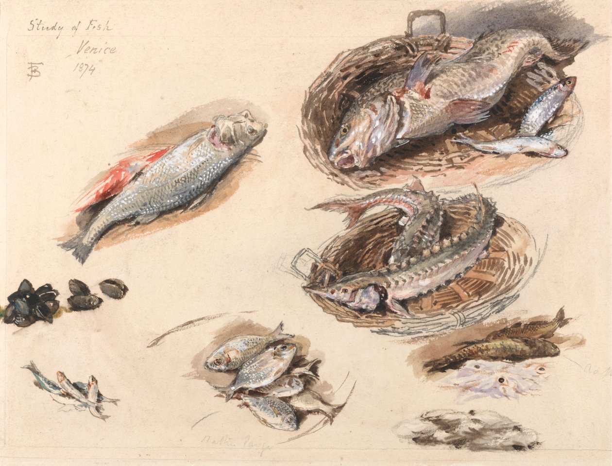 Tanulmány a halakról, Velence alkotó: Myles Birket Foster
