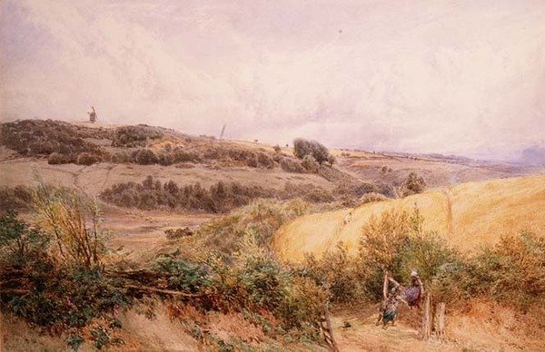 Nyári táj Haslemere közelében, Surrey alkotó: Myles Birket Foster