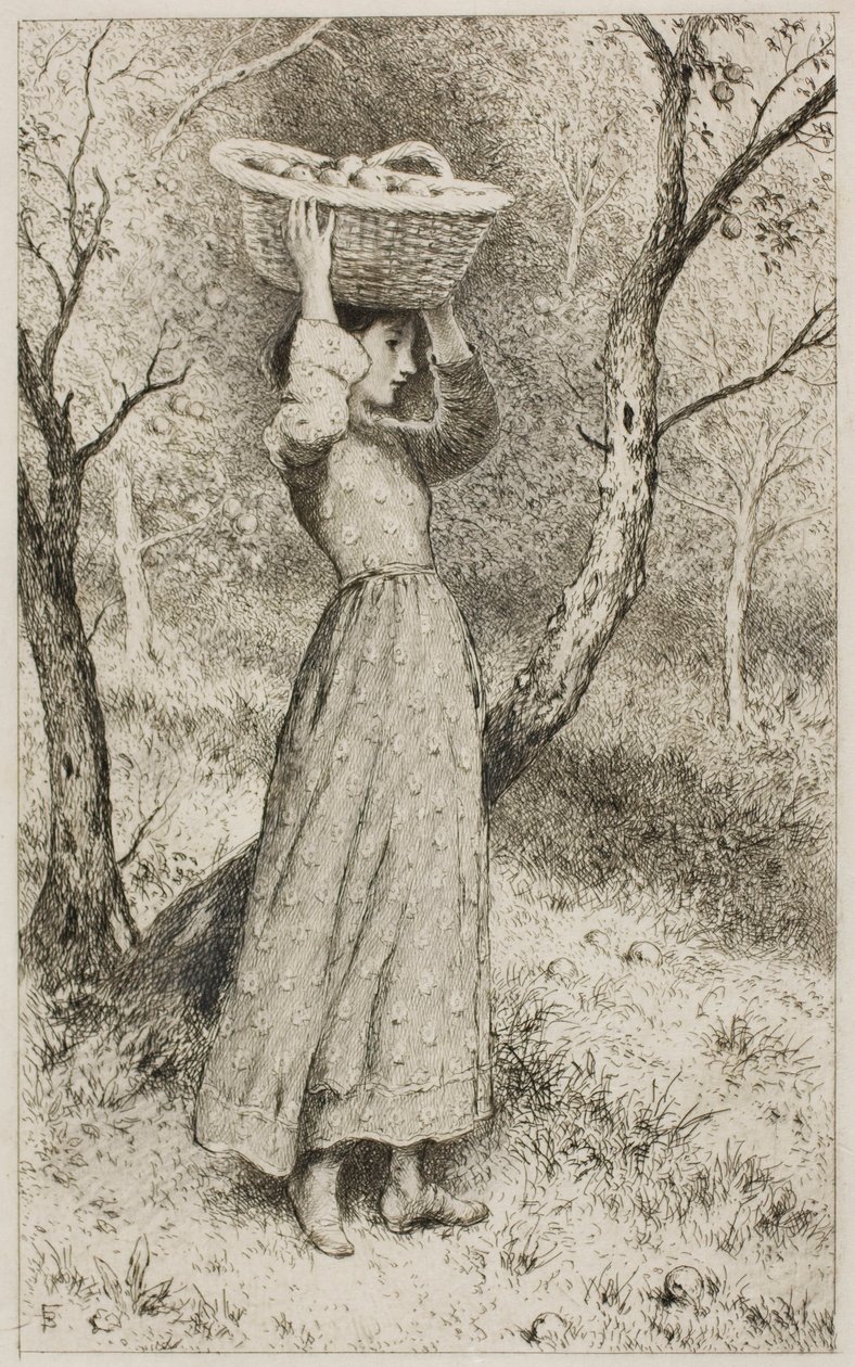 Fiatal lány a gyümölcsösben egy kosár gyümölcs alkotó: Myles Birket Foster