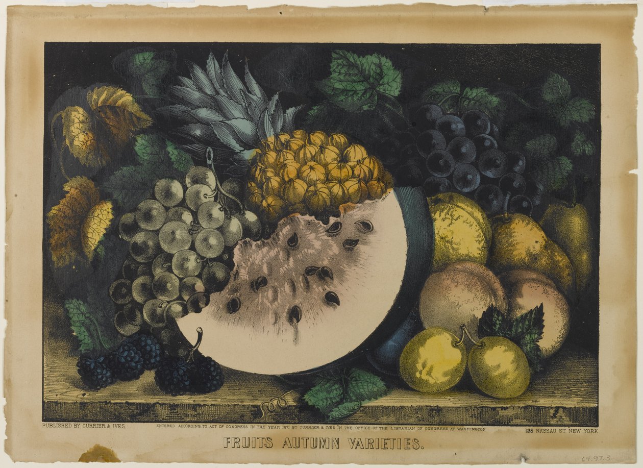 Fruits Autumn Varieties, 1871 (kézzel színezett litho) alkotó: N. and Ives, J.M. Currier
