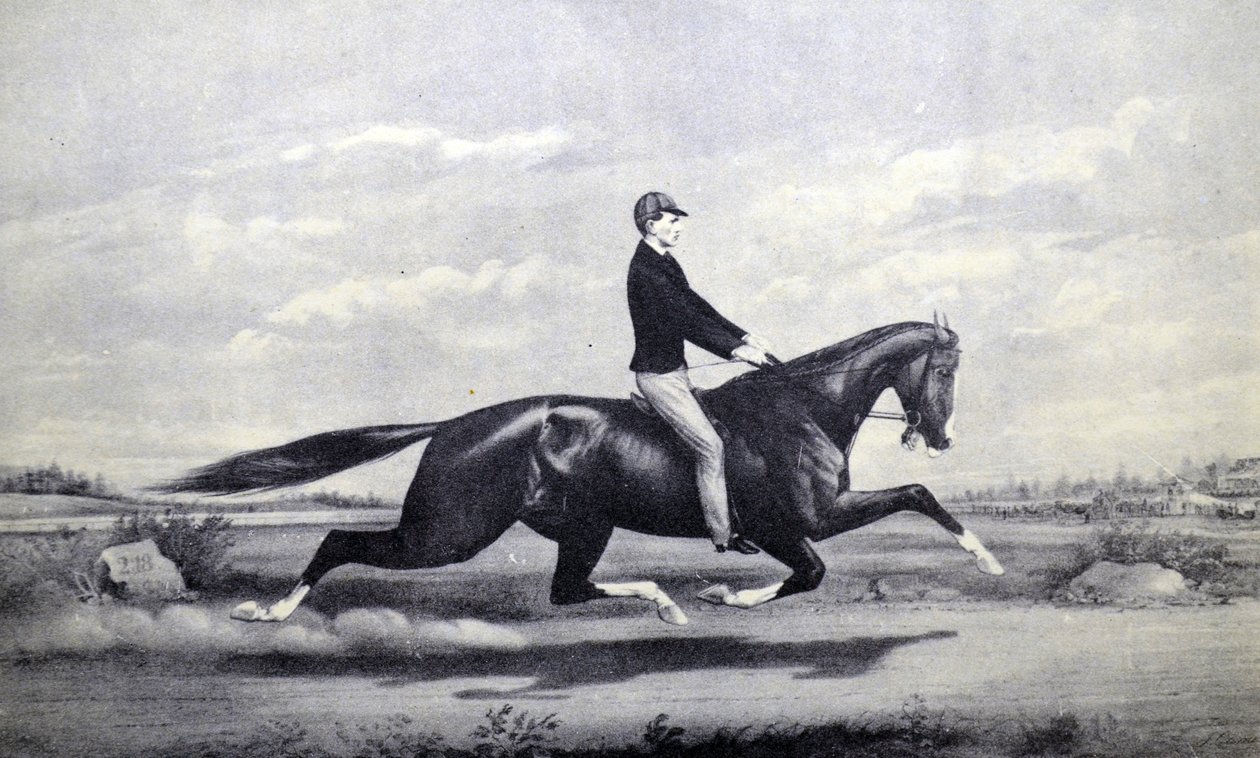 Currier & Ives illusztráció 19. század. Az ünnepelt ló Dexter A gyep királya alkotó: N. and Ives, J.M. Currier