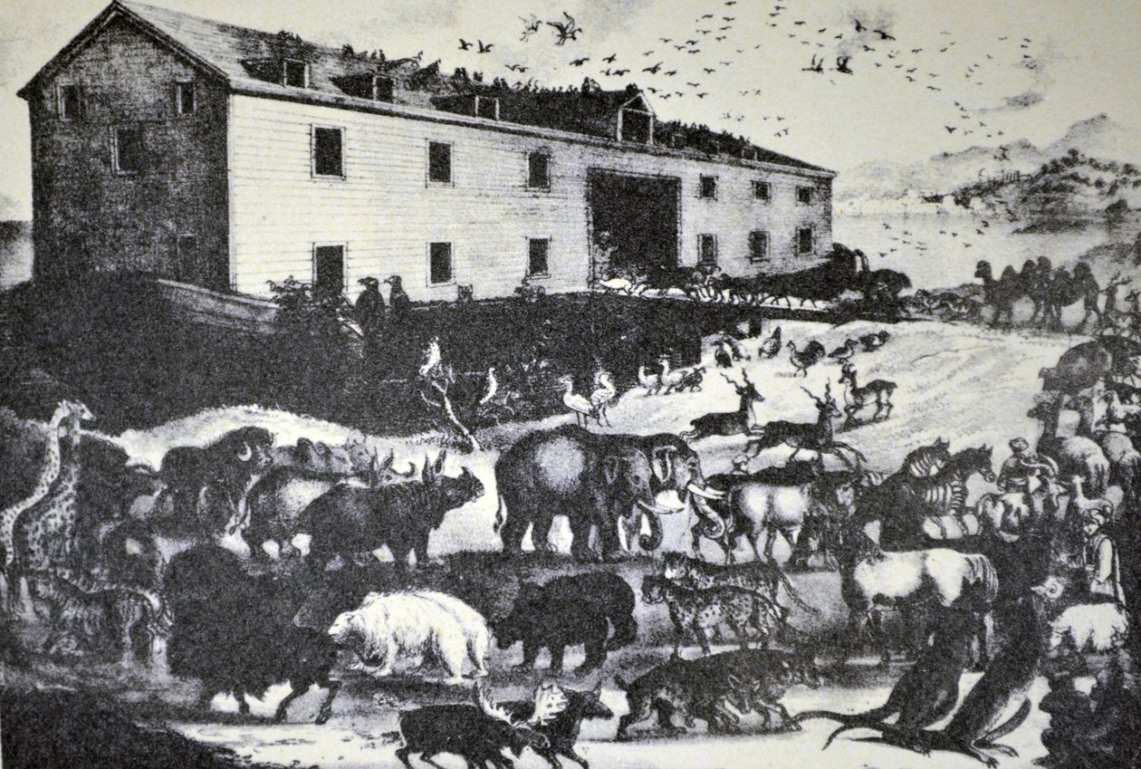 Currier & Ives illusztráció 19. század. Noé bárkája alkotó: N. and Ives, J.M. Currier