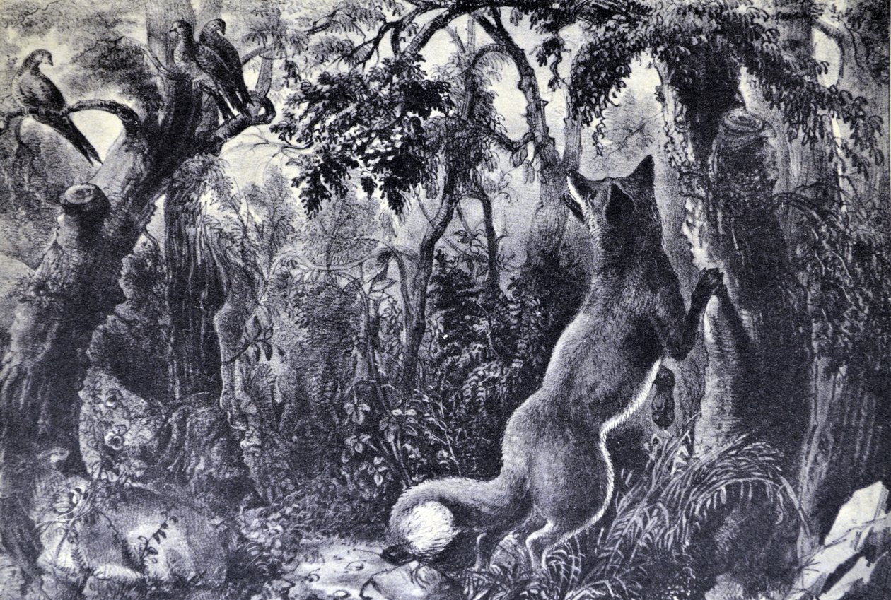 Currier & Ives illusztráció 19. század. A zavart róka alkotó: N. and Ives, J.M. Currier