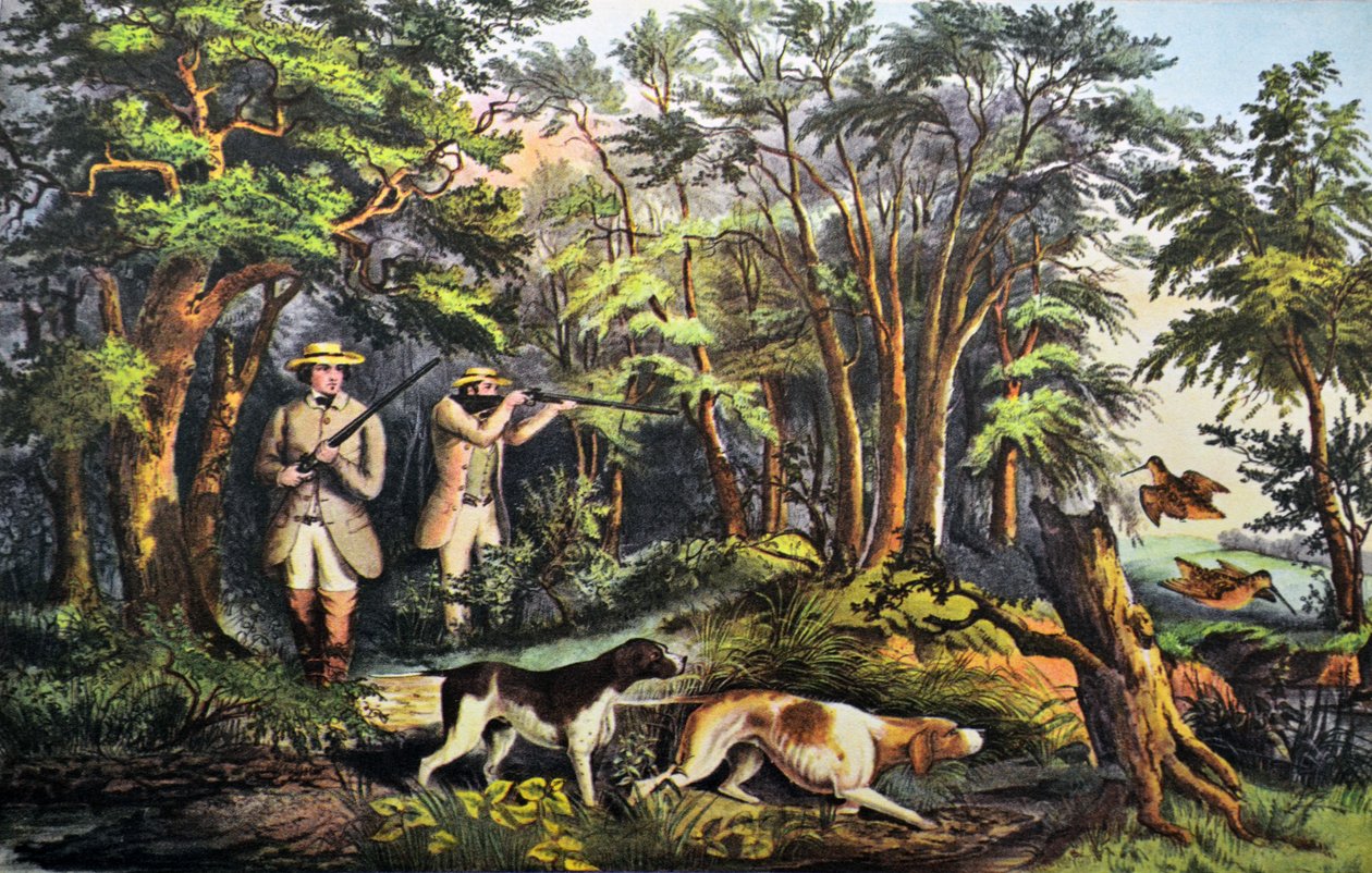 Fajdfajd lövészet alkotó: N. and Ives, J.M. Currier