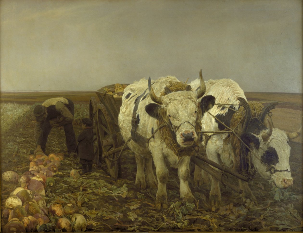 Cukorrépa betakarítás alkotó: N.P. Mols