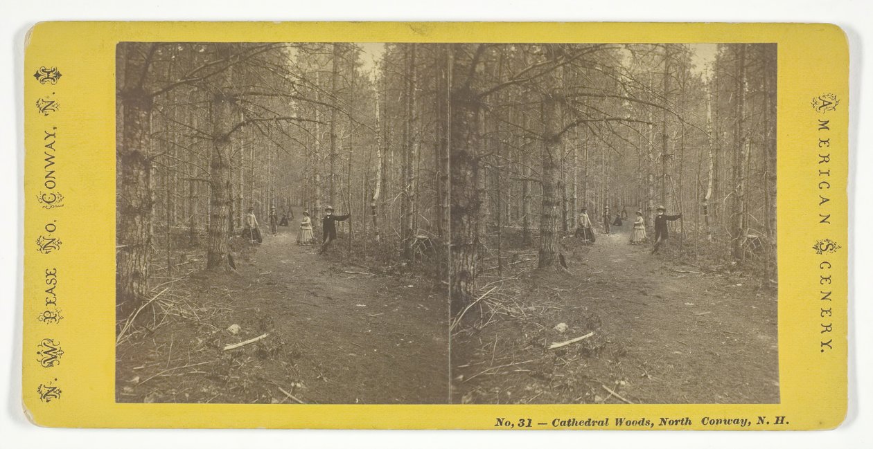 Cathedral Woods, North Conway, N.H., 19. század közepe. alkotó: N.W. Pease