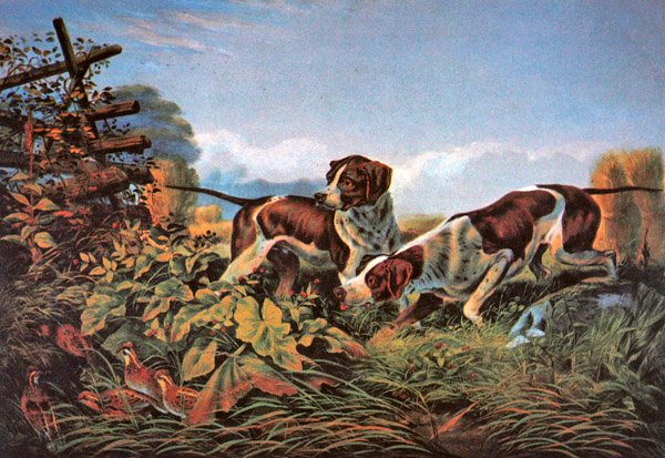 American Field Sports: Egy ponton alkotó: Currier and Ives