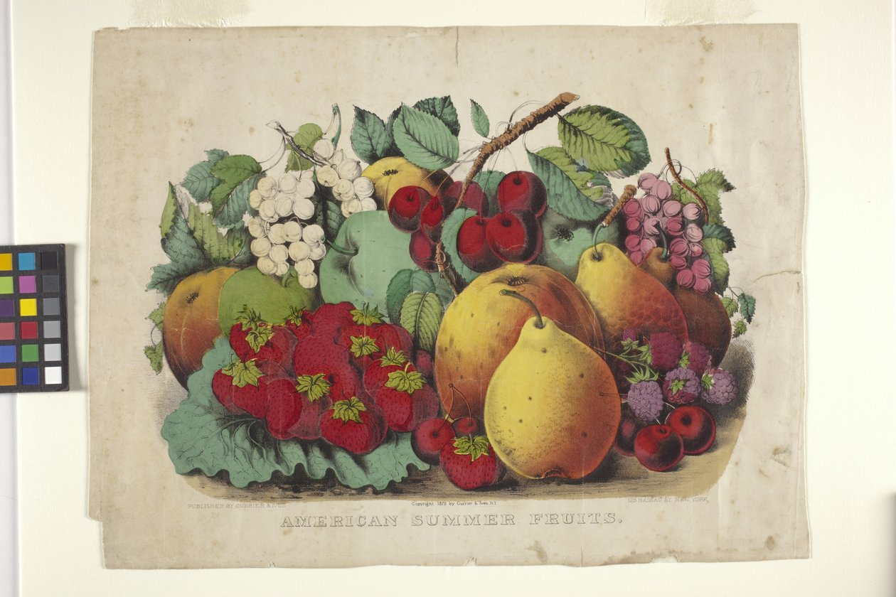 American Summer Fruit (kézzel színezett litográfia) alkotó: N. and Ives J.M. (1824 95) Currier