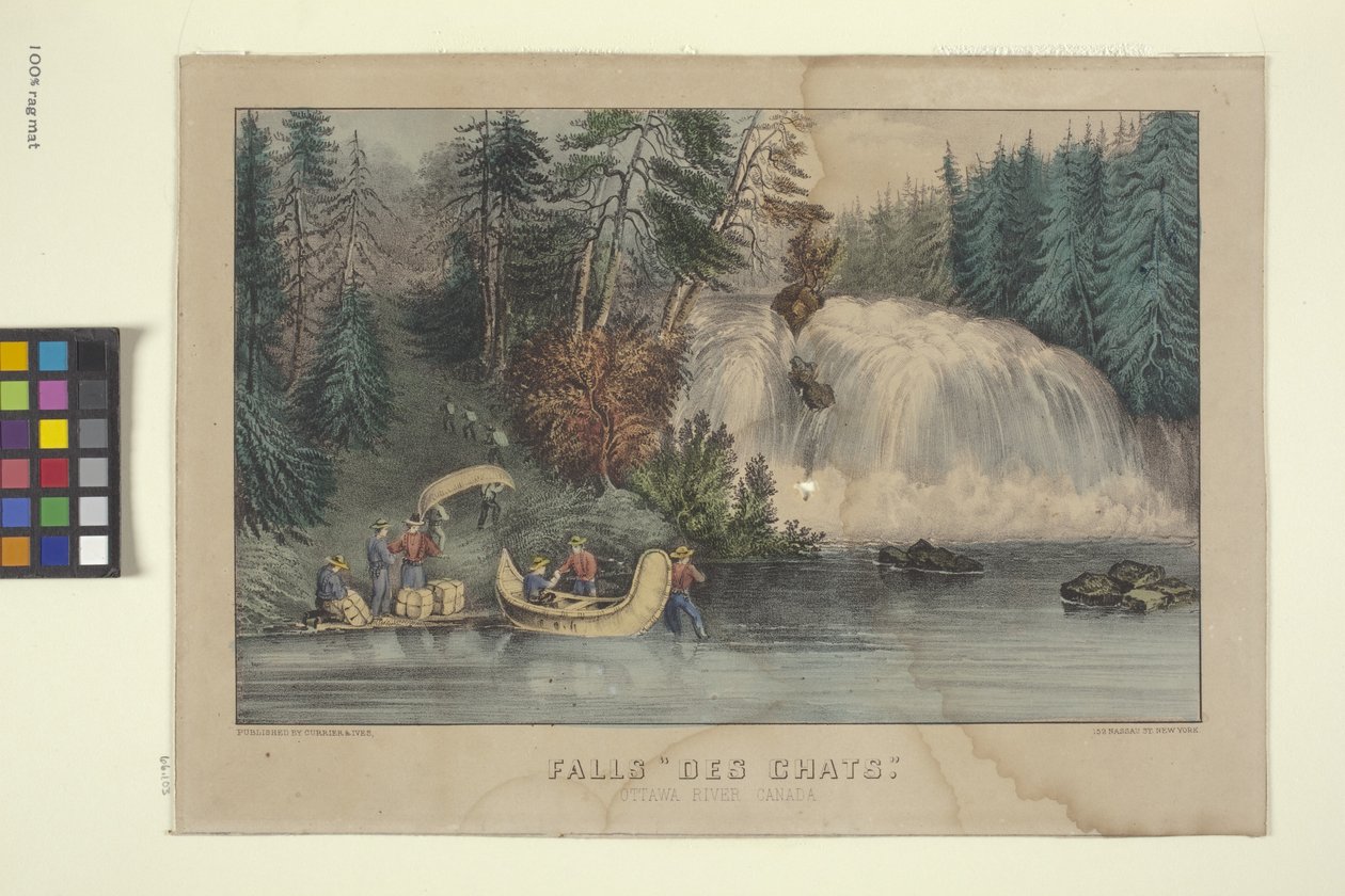 Falls "Des Chats" (kézzel színezett litográfia) alkotó: N. and Ives J.M. (1824 95) Currier