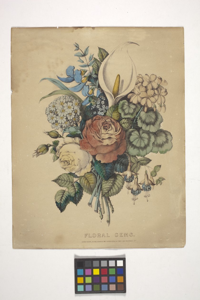 Virágos drágakövek (kézzel színezett litográfia) alkotó: N. and Ives J.M. (1824 95) Currier