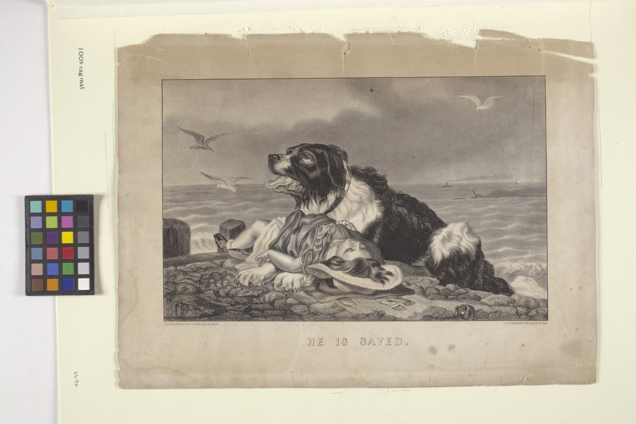 Ő meg van mentve (kézzel színezett litográfia) alkotó: N. and Ives J.M. (1824 95) Currier