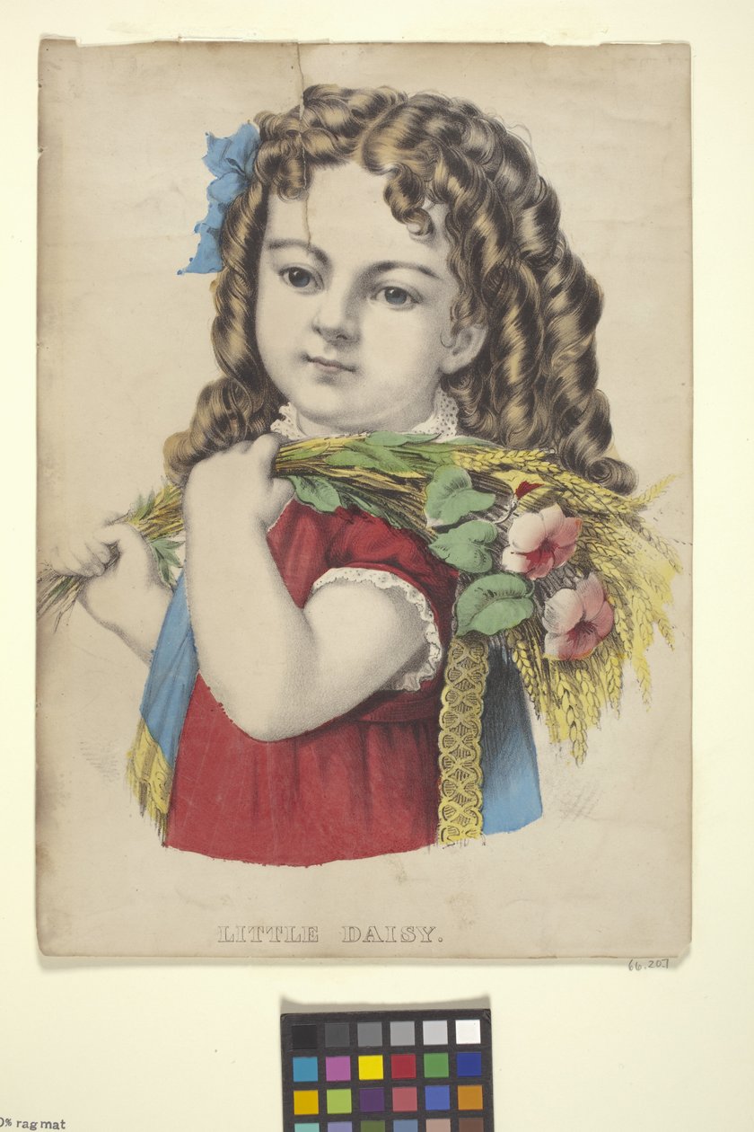Little Daisy (kézzel színezett litográfia) alkotó: N. and Ives J.M. (1824 95) Currier
