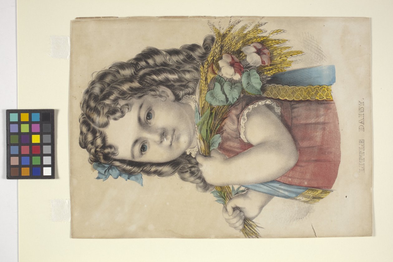 Little Daisy (kézzel színezett litográfia) alkotó: N. and Ives J.M. (1824 95) Currier
