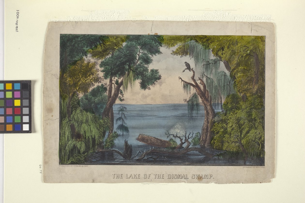 A szomorú mocsár tava (kézzel színezett litográfia) alkotó: N. and Ives J.M. (1824 95) Currier