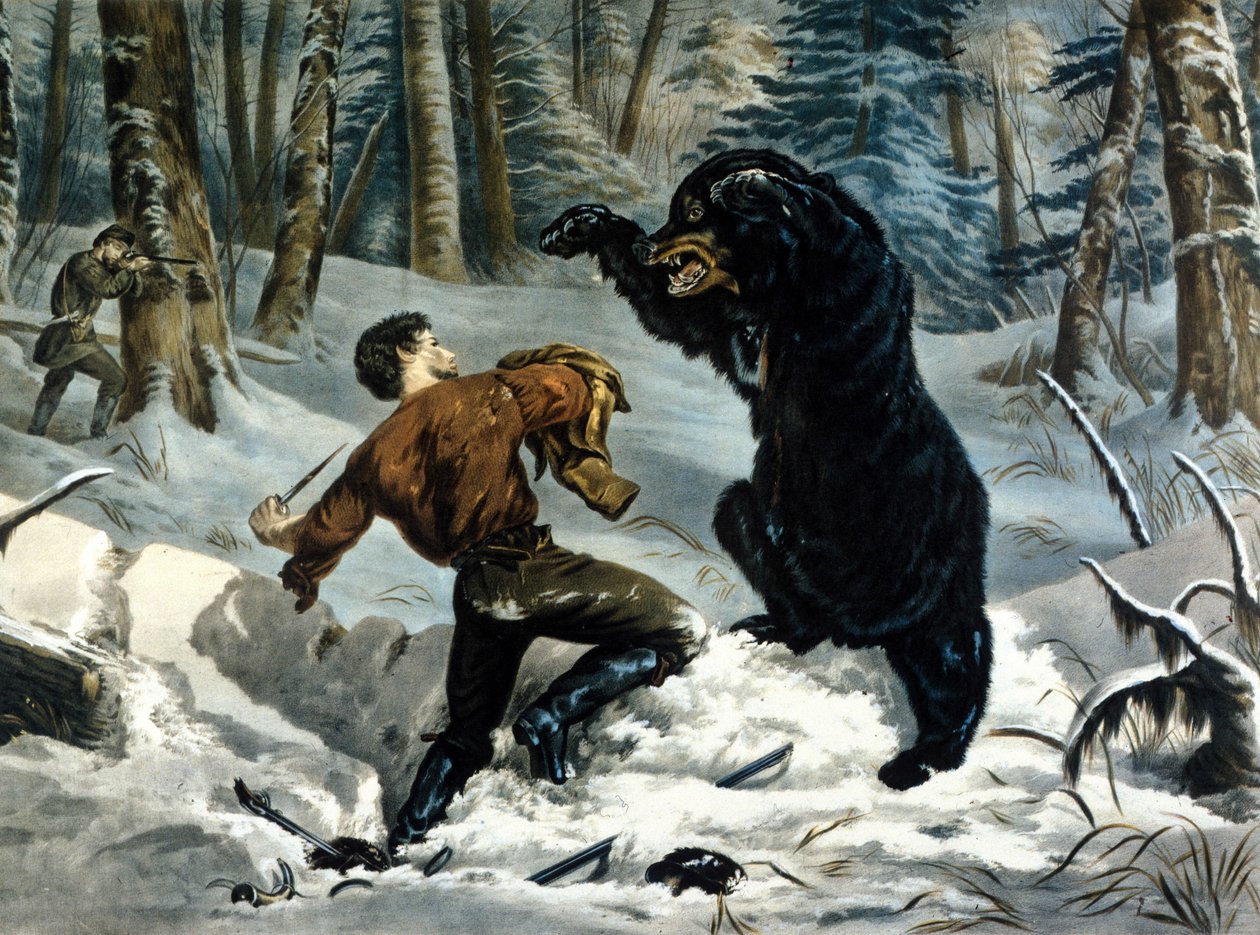A csapdák élete (professzionális vadászok) Kanadában: Egy vadászt megtámad egy Grizzly Bear. Illusztráció: Yves és Currier. alkotó: Currier and Ives