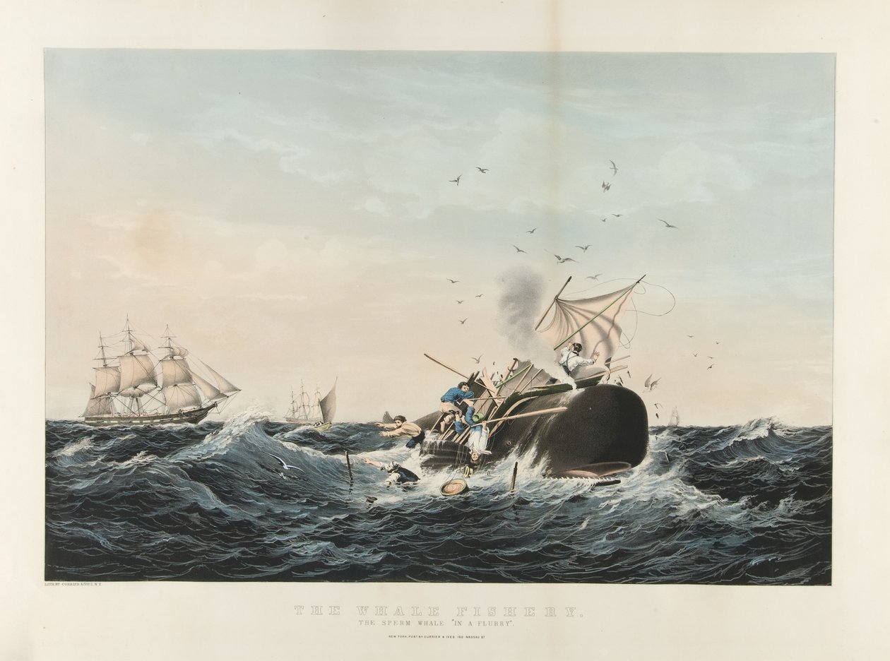 A bálnahalászat: A spermás bálna „lebbenésben” (színes litográfia) alkotó: Currier and Ives