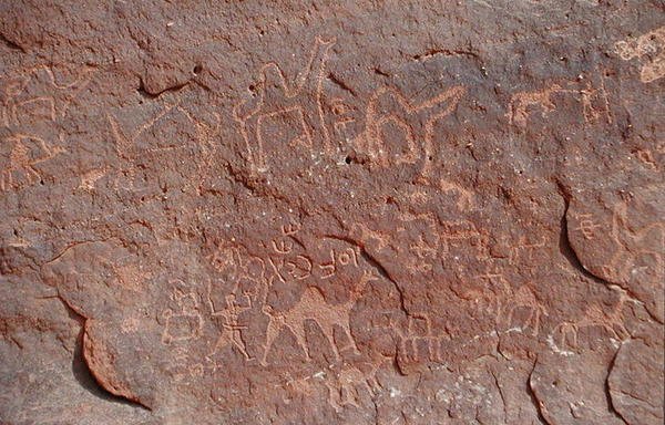Petroglifák egy szikla oldaláról (sziklafestmény) alkotó: Nabatean