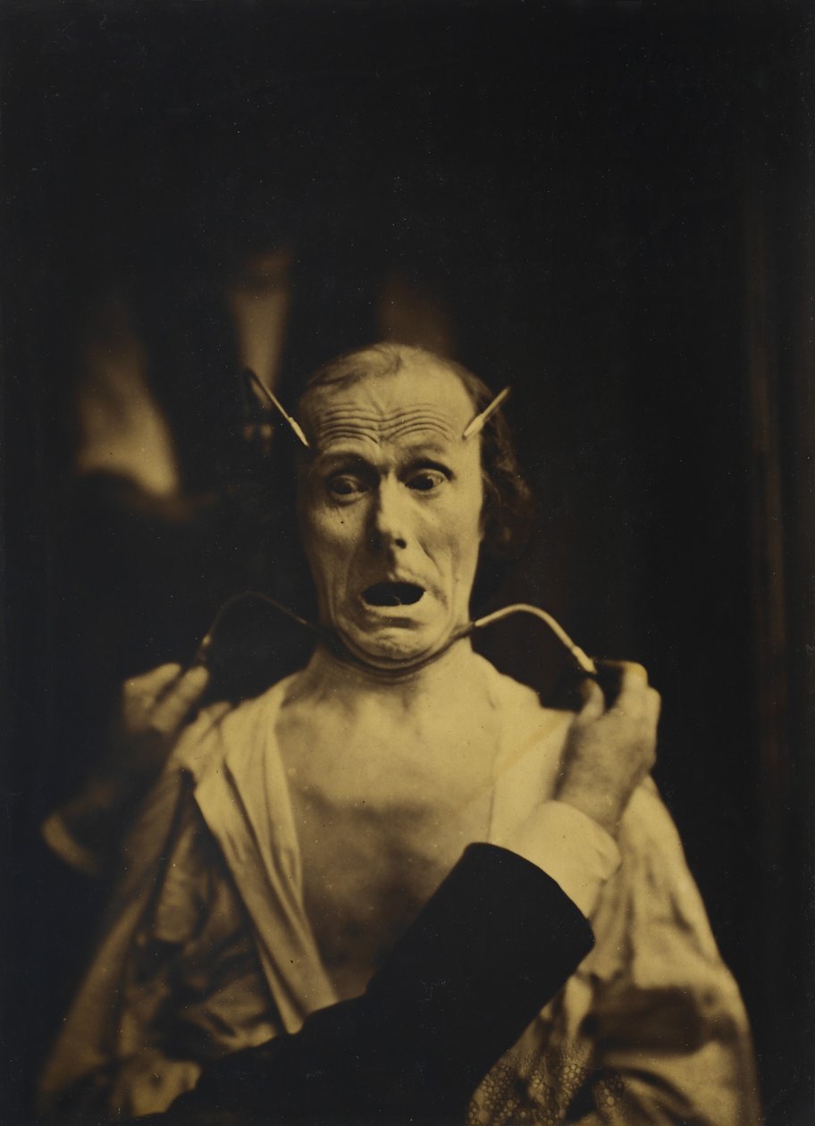 Terror, 1854–56, nyomtatott 1862 (albumén ezüst nyomat üvegnegatívról) alkotó: Nadar