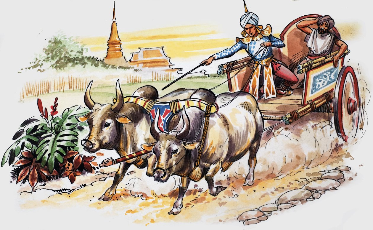 Mesék sok országból alkotó: Nadir Quinto